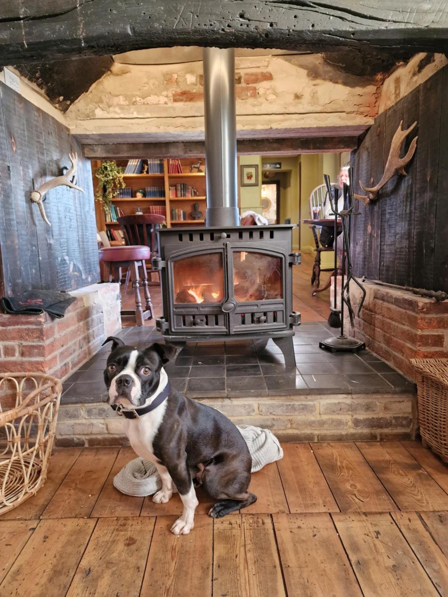 The Duke On The Test Romsey Exteriér fotografie